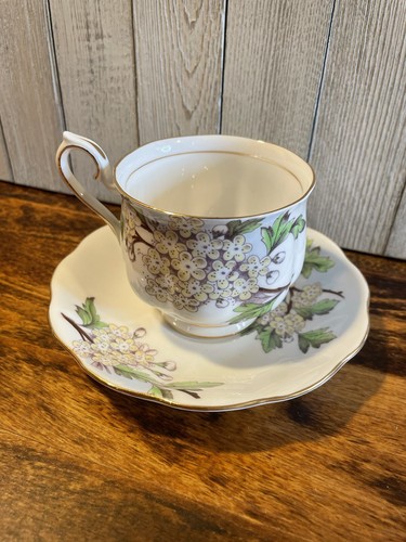 Royal albert bone china - bone,