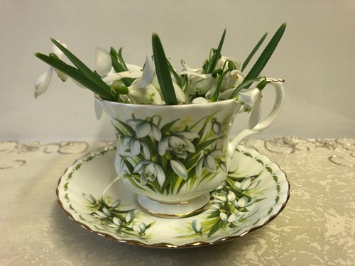 Royal albert flower the - royal,