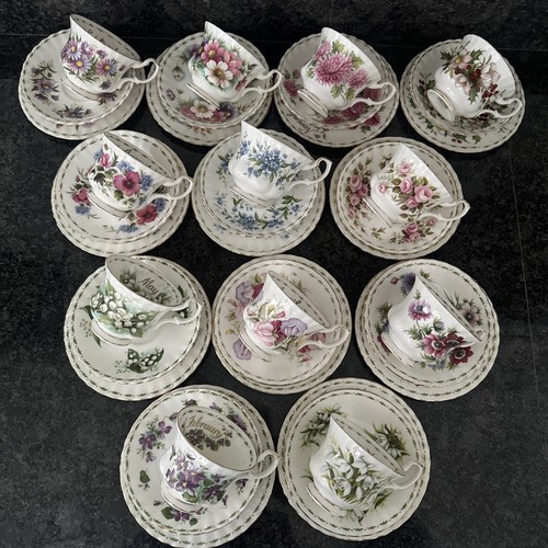 Royal albert fiore - fiore, 12